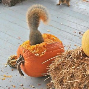 general halloween 3.jpg