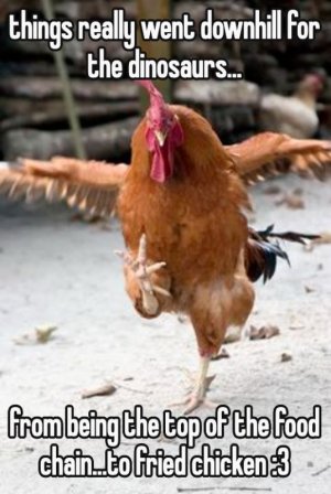 0.jpg