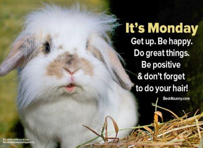60a91c141f22f92c444dfd124177ae27--its-monday-mondays.jpg