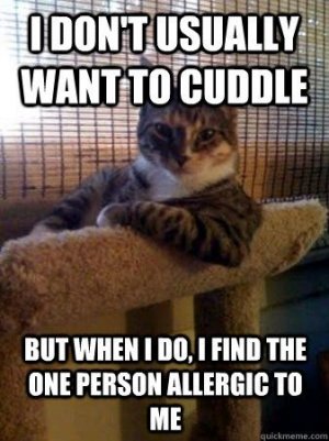 cuddle.jpeg