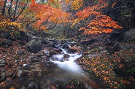 stream-5680609_1280.jpg