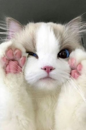 2253c2f8d6fcfbcda6c632157fe86ab0.jpg 2253c2f8d6fcfbcda6c632157fe86ab0.jpg