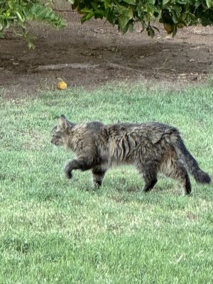 IMG_2907.jpeg