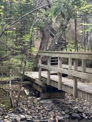 IMG_6134.jpeg