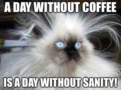 coffee-fuzzycat.jpg