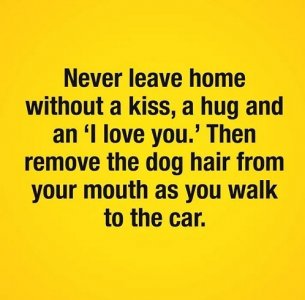 kiss n hug.jpg