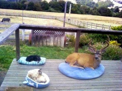 beds.jpg