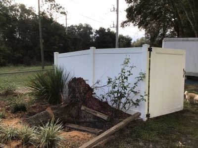stump.jpg