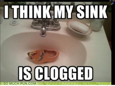 IMG_9015.jpeg