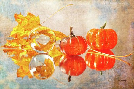 october-reflections-randi-grace-nilsberg.jpg