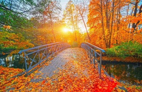 autumn1.jpg