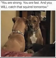 465c32c9a14ac8d55d9f0a5e1614f125.jpg