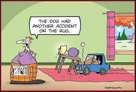 accidentonrug.jpg