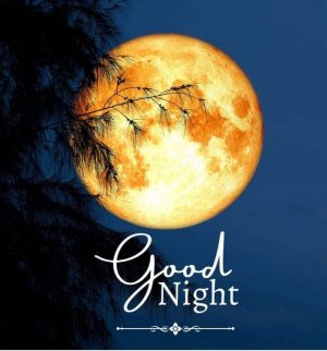 43good night fb 142772194_2776051649213251_1516871605498941601_n.jpg