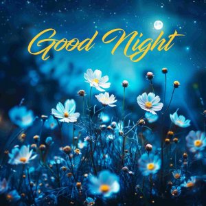 Good-Night-Images.jpg