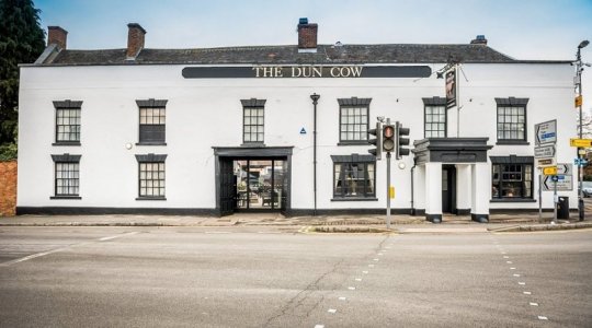 duncow1.jpg