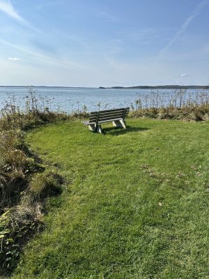 IMG_6198.jpeg