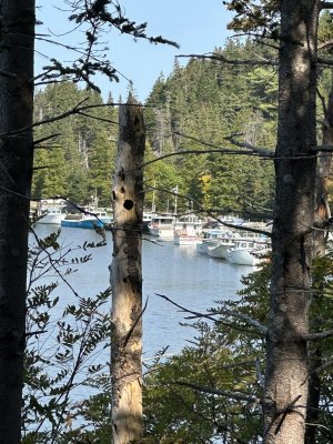 IMG_6204.jpeg