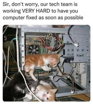 1000005653.jpg