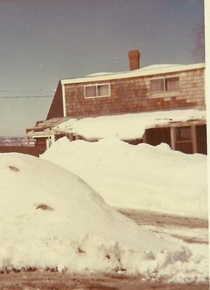 winter.jpg