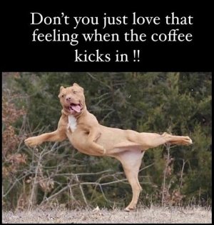 kicking in.jpg