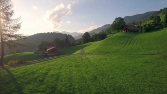 mornin-farm-field.jpg