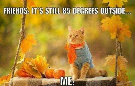 weather3.jpg