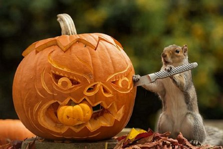 carvingsquirrel.jpg