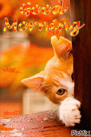 34d65cd17c8d26b4431940249e10bd18.gif