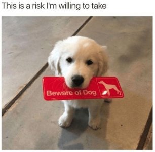 risk.jpg
