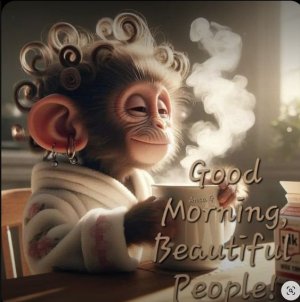 30f5d5025743b2127525090aaff9f7e2[1].jpg