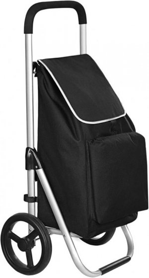 personal shopping cart.jpg