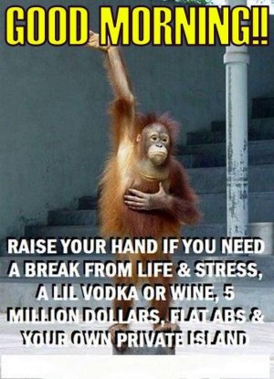 raiseyourhand.jpg