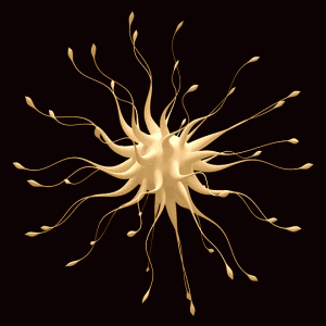 tumblr_oqspev3bMp1v9fn1io1_540.gif