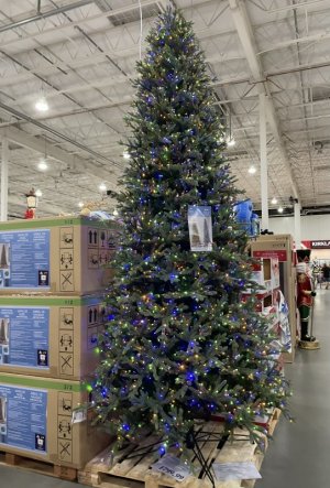 IMG_7918.jpeg