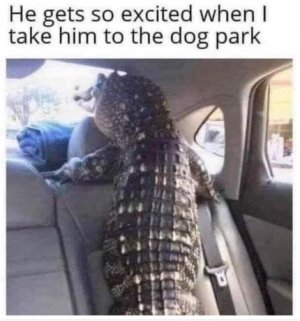 ghtjhjj.JPG
