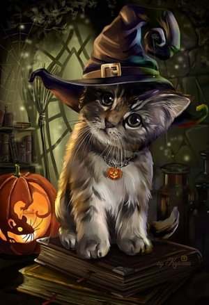 cat-halloween.jpg