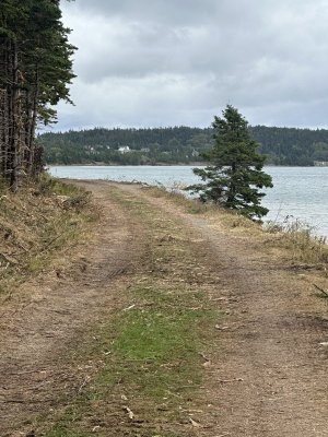 IMG_6319.jpeg