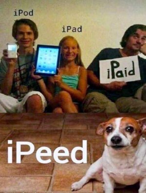 IMG_9074.jpeg