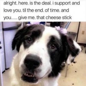 1000005685.jpg