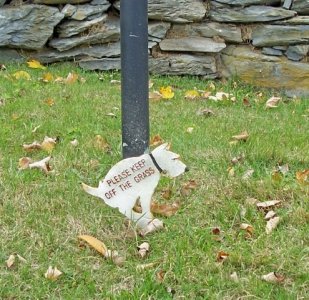 dog sign.jpg
