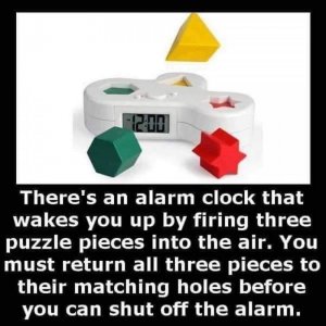 460957094_10161769733354507_4871903107207703371_n.jpg