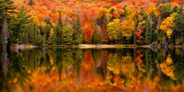 fall-in-canada-algonquin-provinicial-park-3464950917.jpg