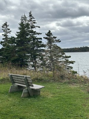 IMG_6339.jpeg