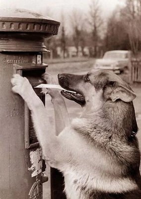 Letter @.jpg