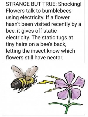 1000002874.jpg