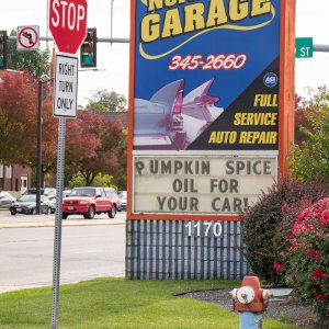 pumpkin-spice-800x800.jpg