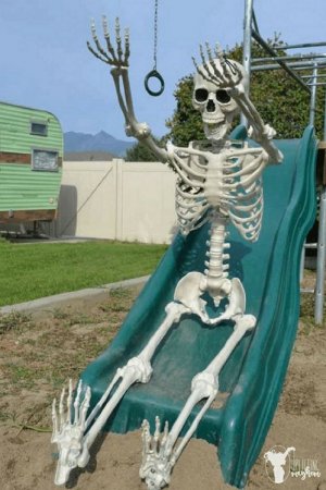 skeletonslide.jpg