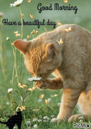 ddbf223c2f2ed6df1d71d6025ac68f72.gif