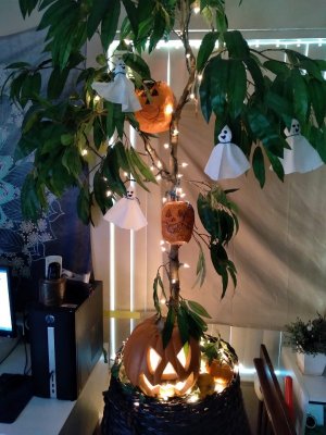 halloween tree 2020.jpg